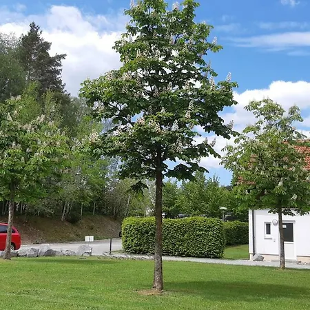 Apart Western Am See